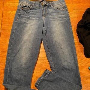 Stitch Fix Democracy Parissa skinny Jean